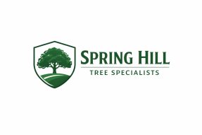 tree service Spring Hill FL